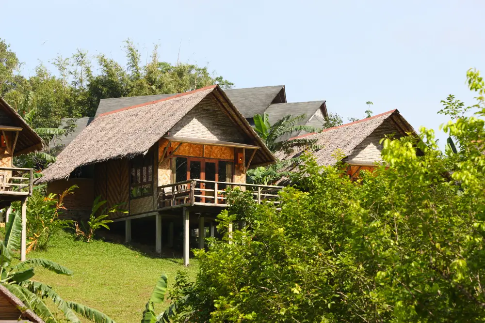 Eco-Friendly Accommodations